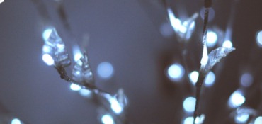 new_year_light