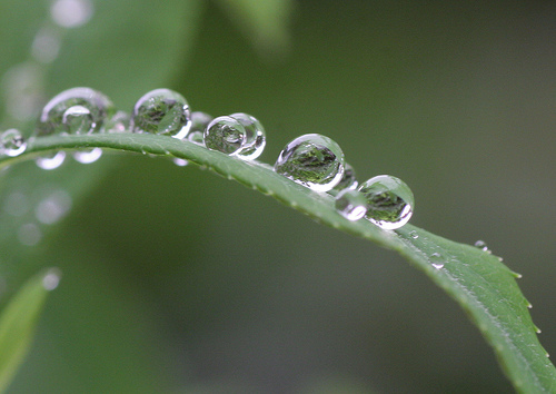 water_drops